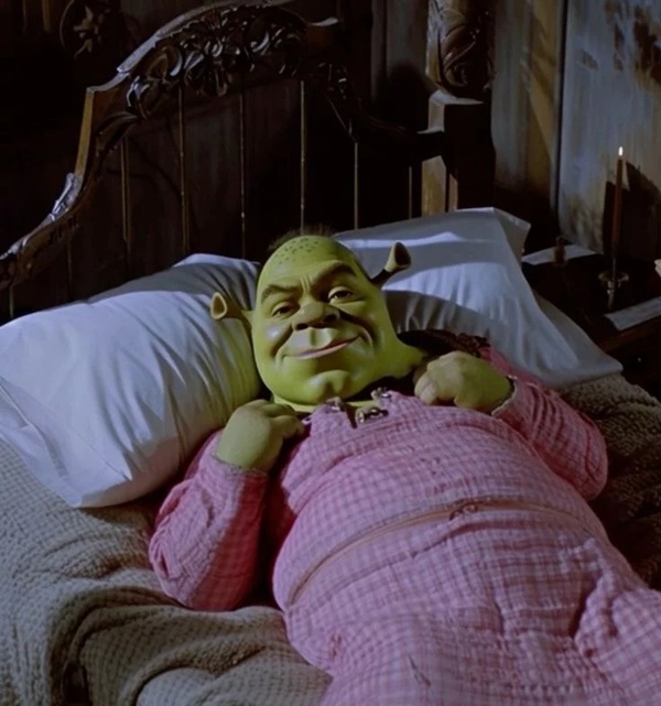 shrek meme 37
