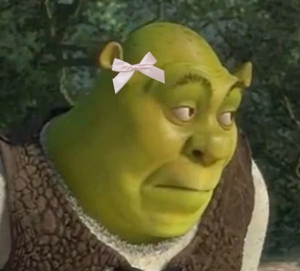 shrek meme 40