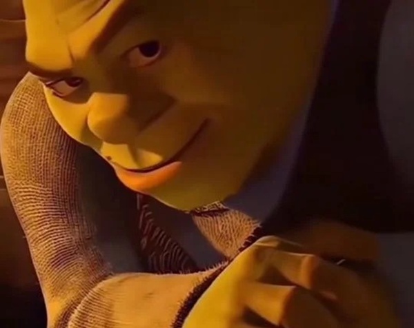 shrek meme 5