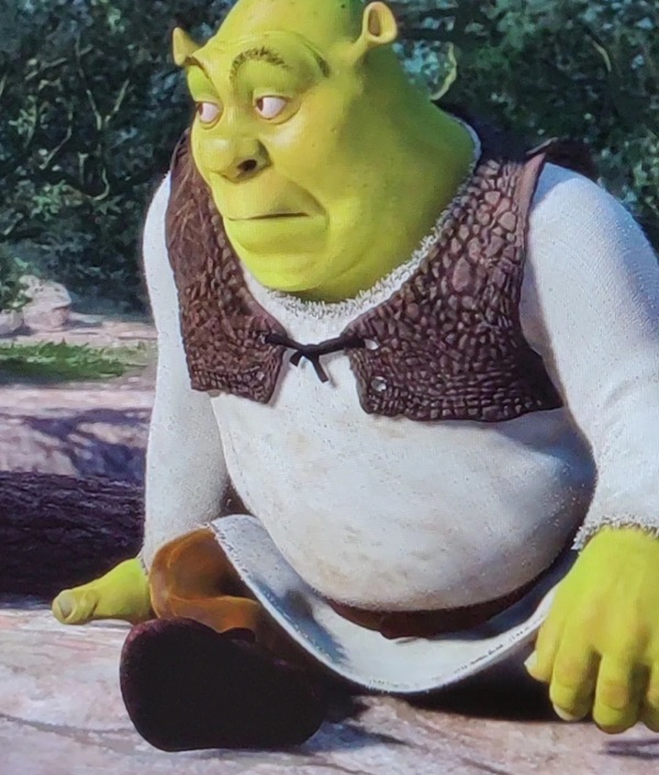 shrek meme 8