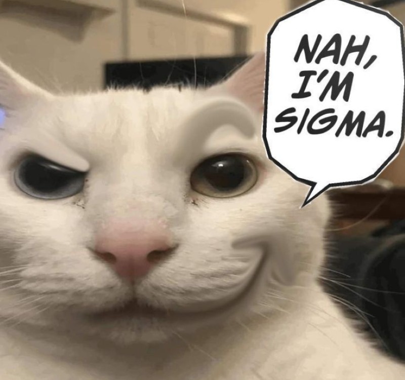 sigma boy meme 13