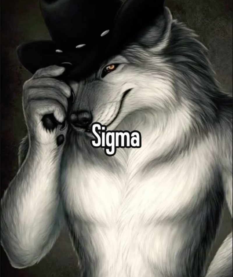 sigma boy meme 14