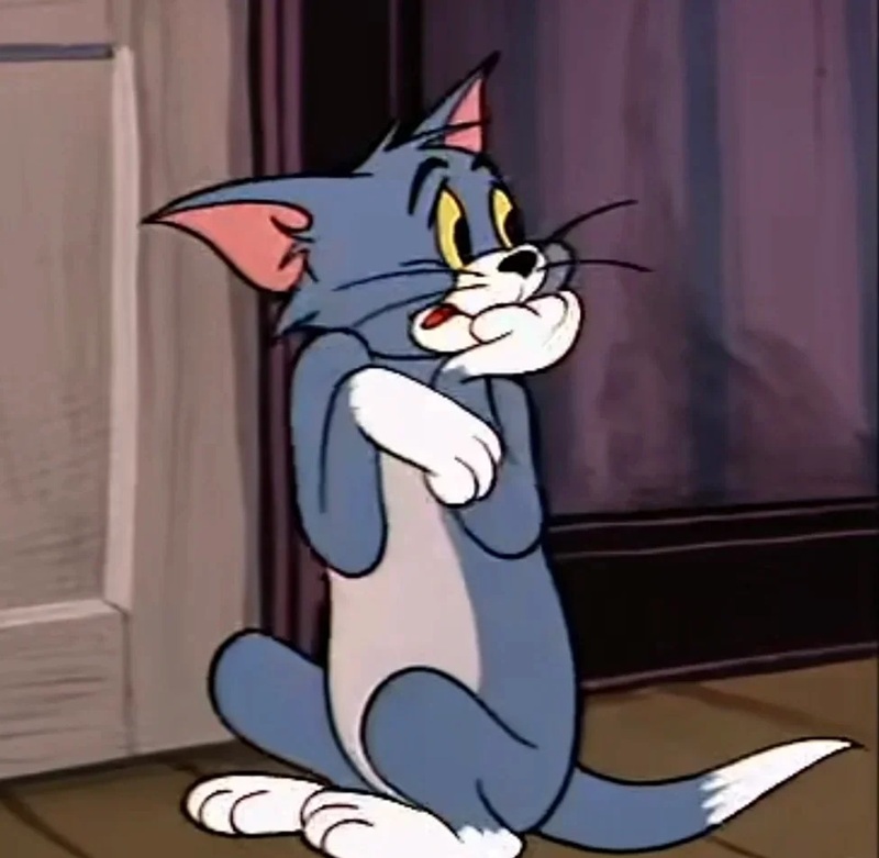 sợ quá sợ quá meme 39