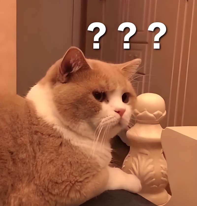 sus meme 19