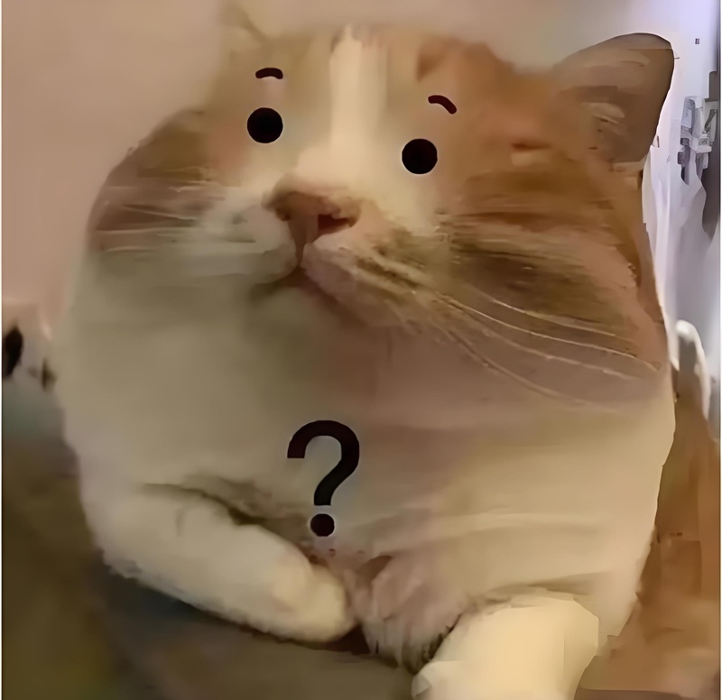 sus meme 3