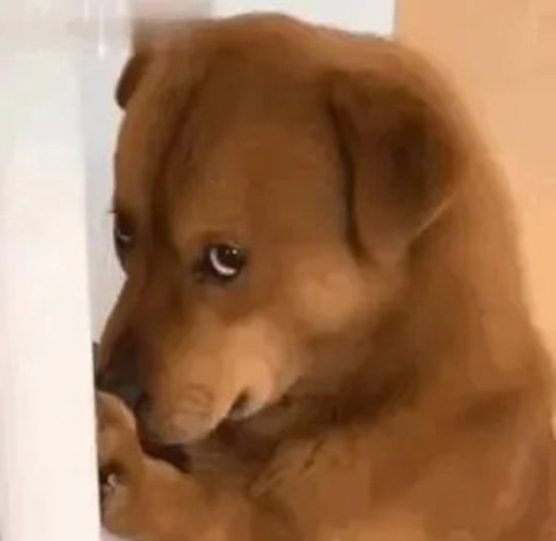 sus meme 33