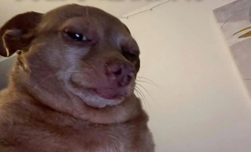 sus meme 38