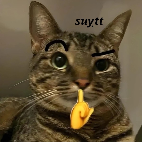 suỵt meme 33