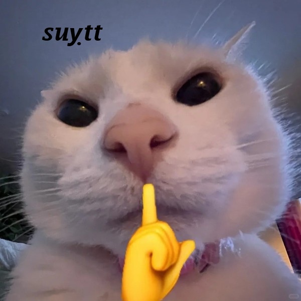 suỵt meme 41