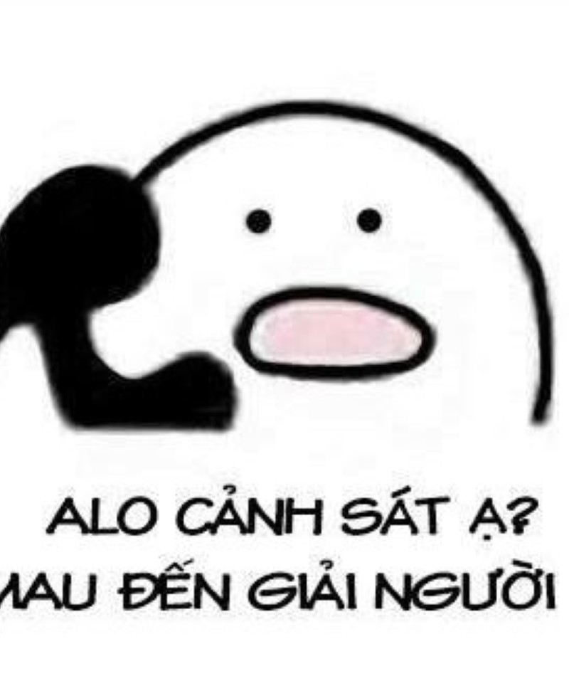 tao báo công an meme
