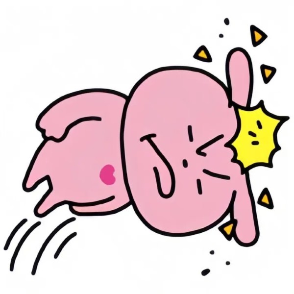 thỏ hồng meme 22