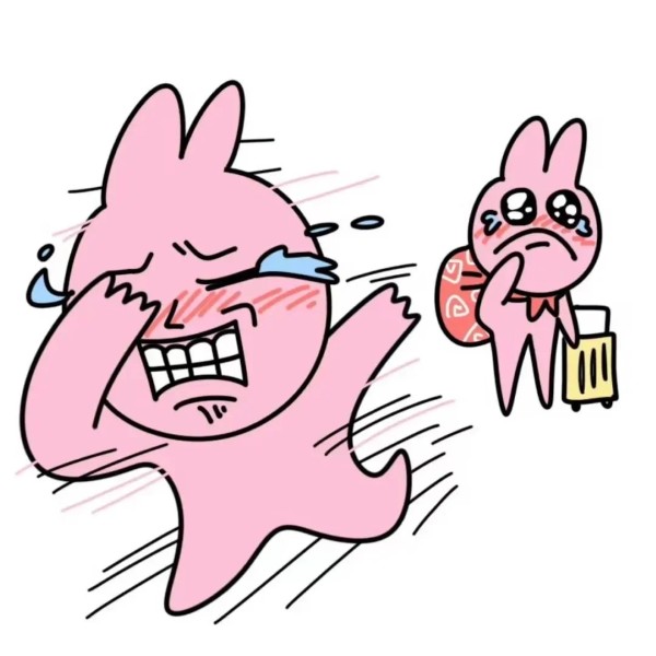 thỏ hồng meme 36