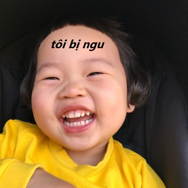 tôi bị ngu meme 14