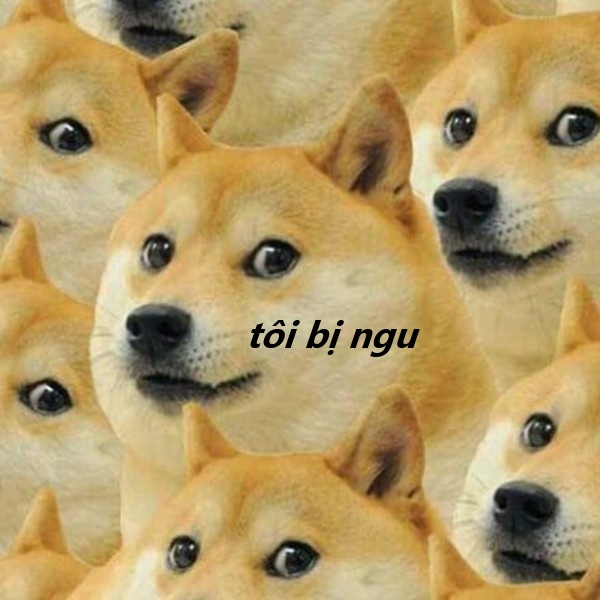 tôi bị ngu meme 17