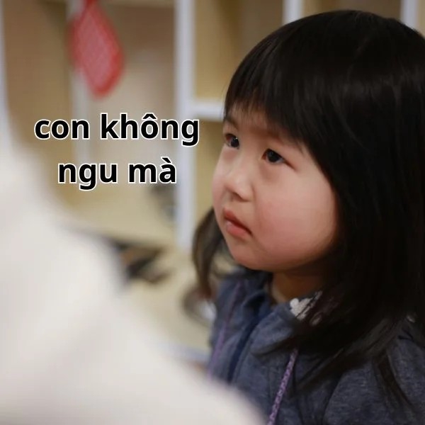 tôi bị ngu meme 9
