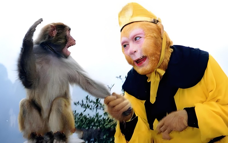 tôn ngộ không meme 24