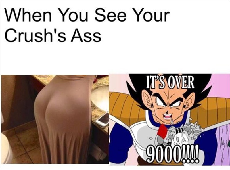 vegeta meme 11