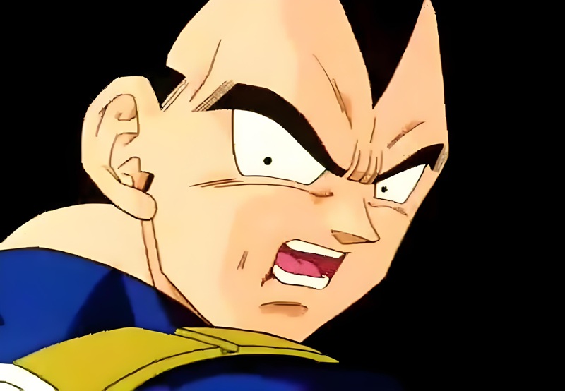 vegeta meme 13