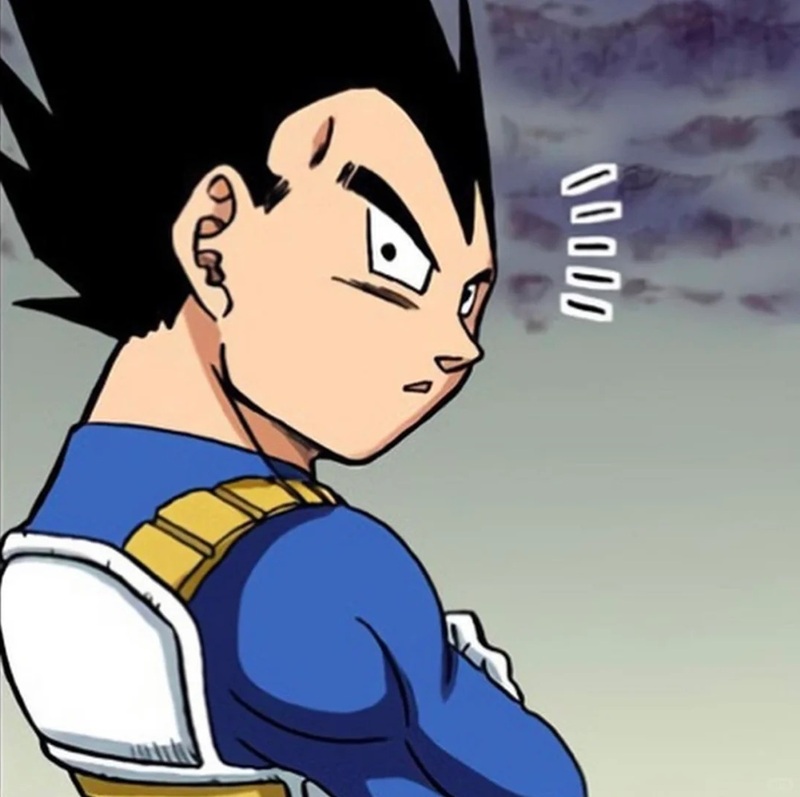 vegeta meme 30