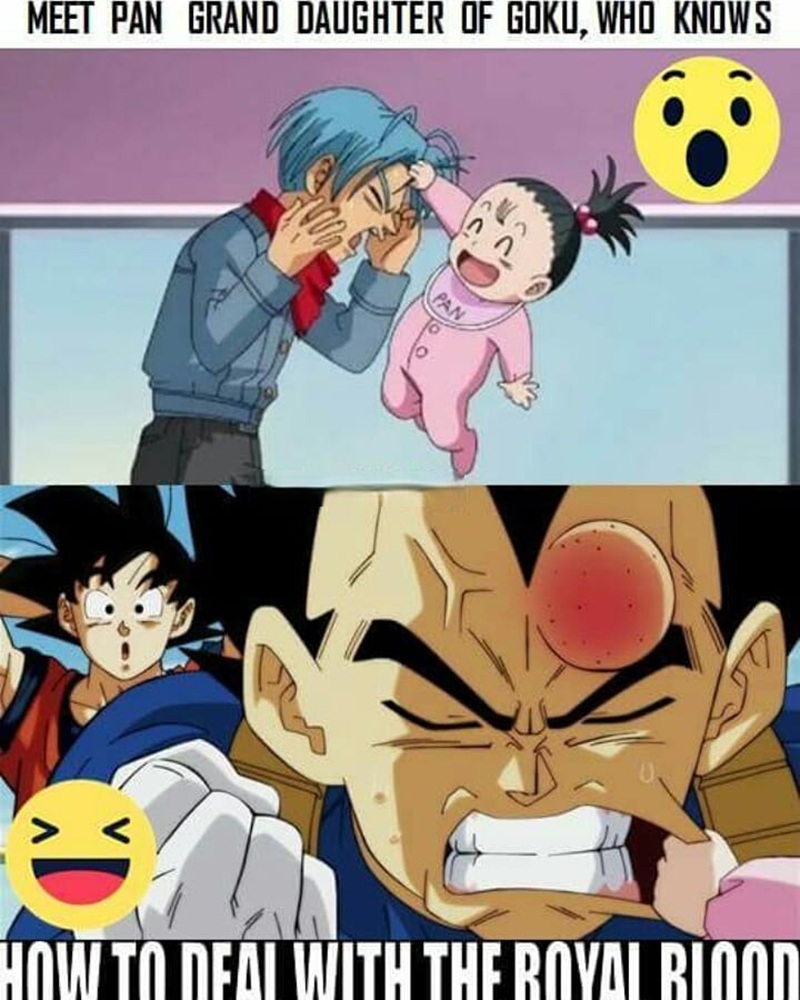 vegeta meme 6