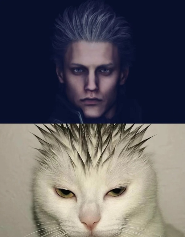 vergil meme 21