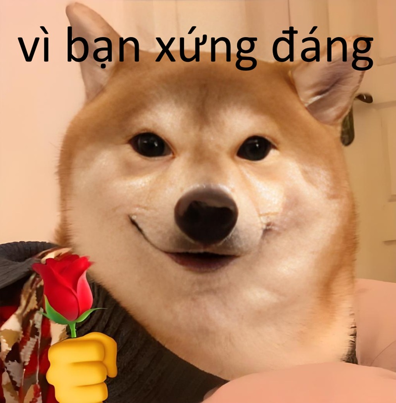 vì bạn xứng đáng meme 25