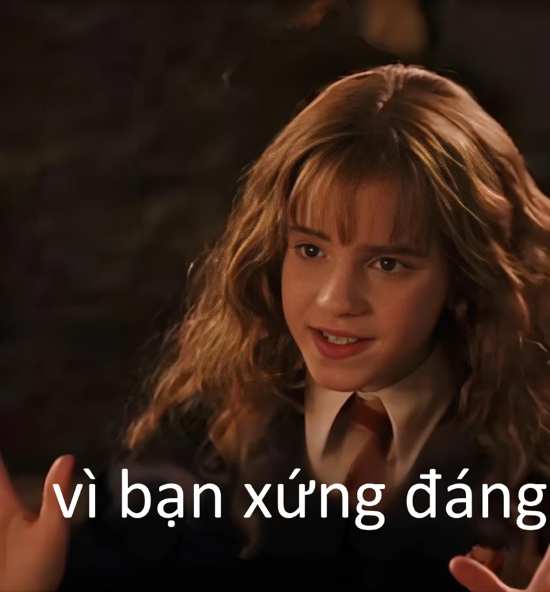 vì bạn xứng đáng meme 32