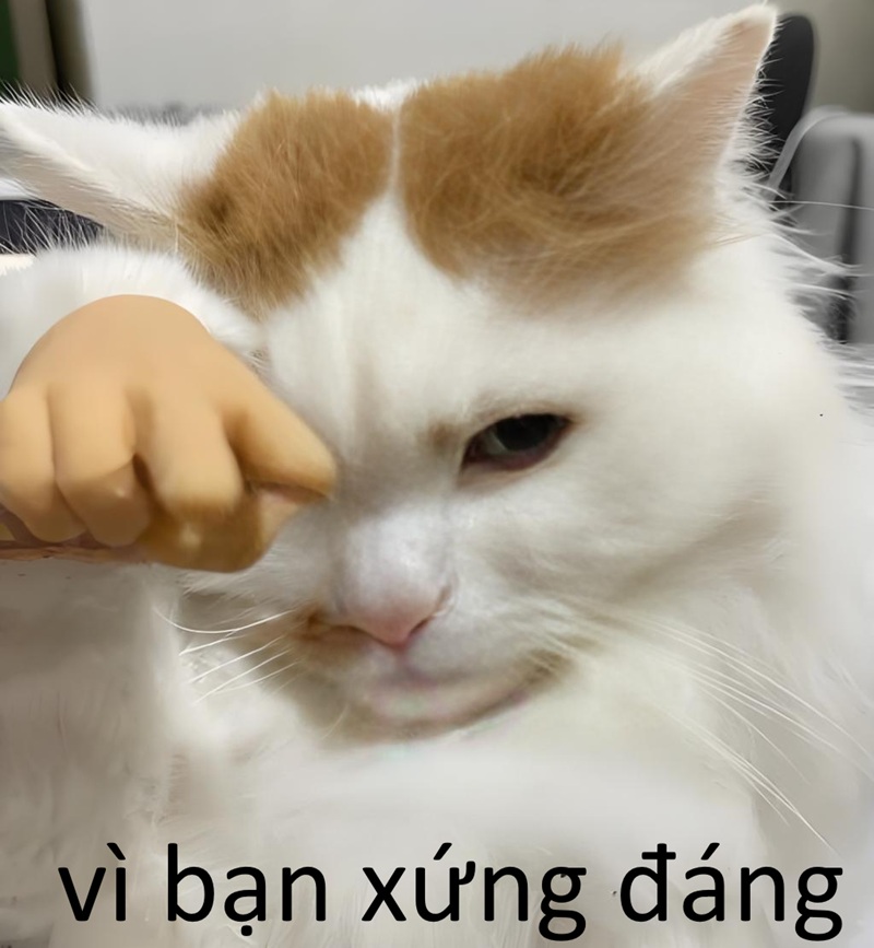 vì bạn xứng đáng meme 34