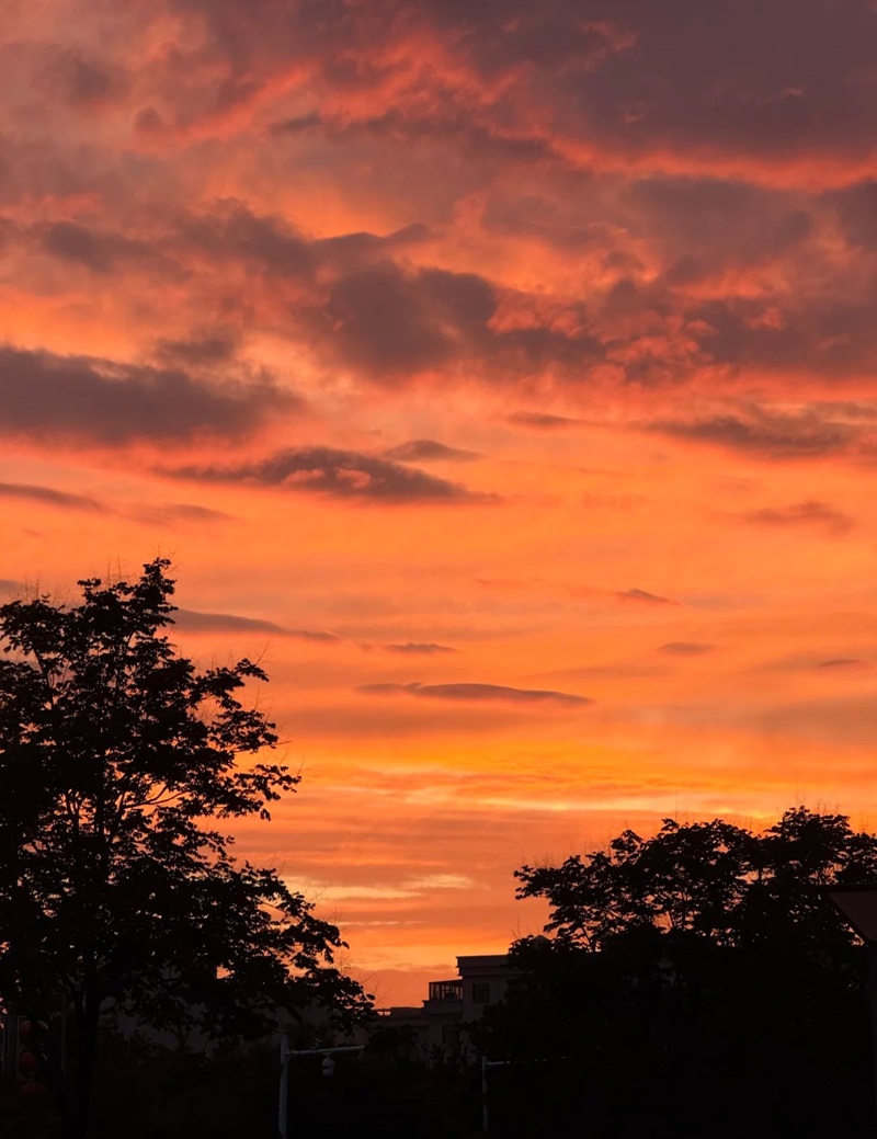 ảnh bầu trời hoàng hôn buồn 27