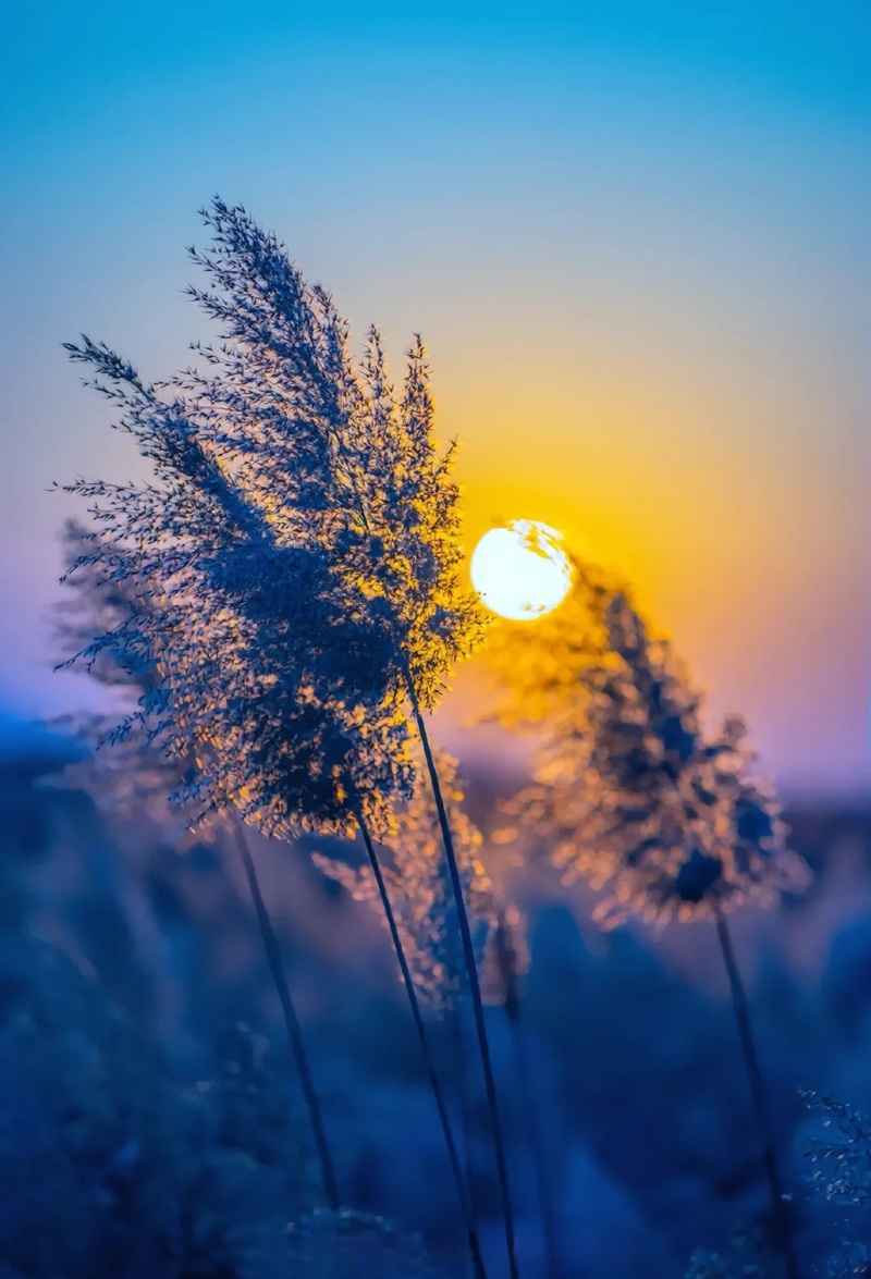 ảnh bầu trời hoàng hôn buồn 33