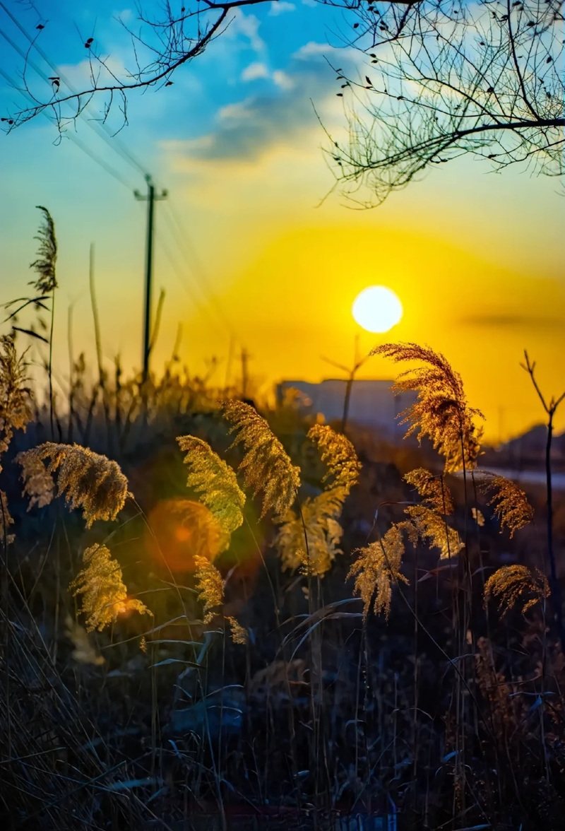 ảnh bầu trời hoàng hôn buồn 34