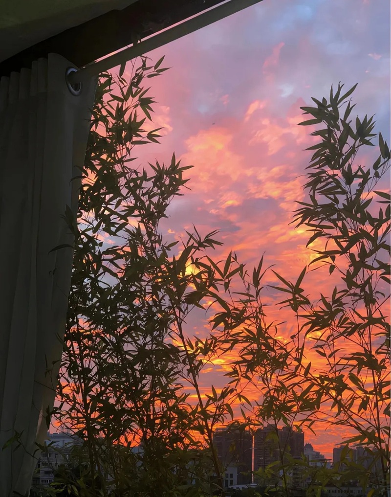 ảnh bầu trời hoàng hôn buồn 39