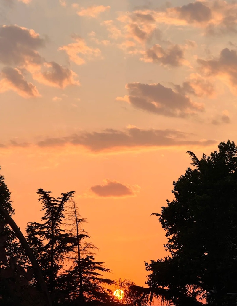 ảnh bầu trời hoàng hôn buồn 4