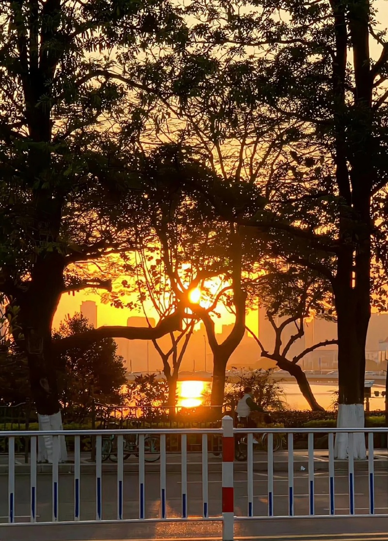 ảnh bầu trời hoàng hôn buồn 40