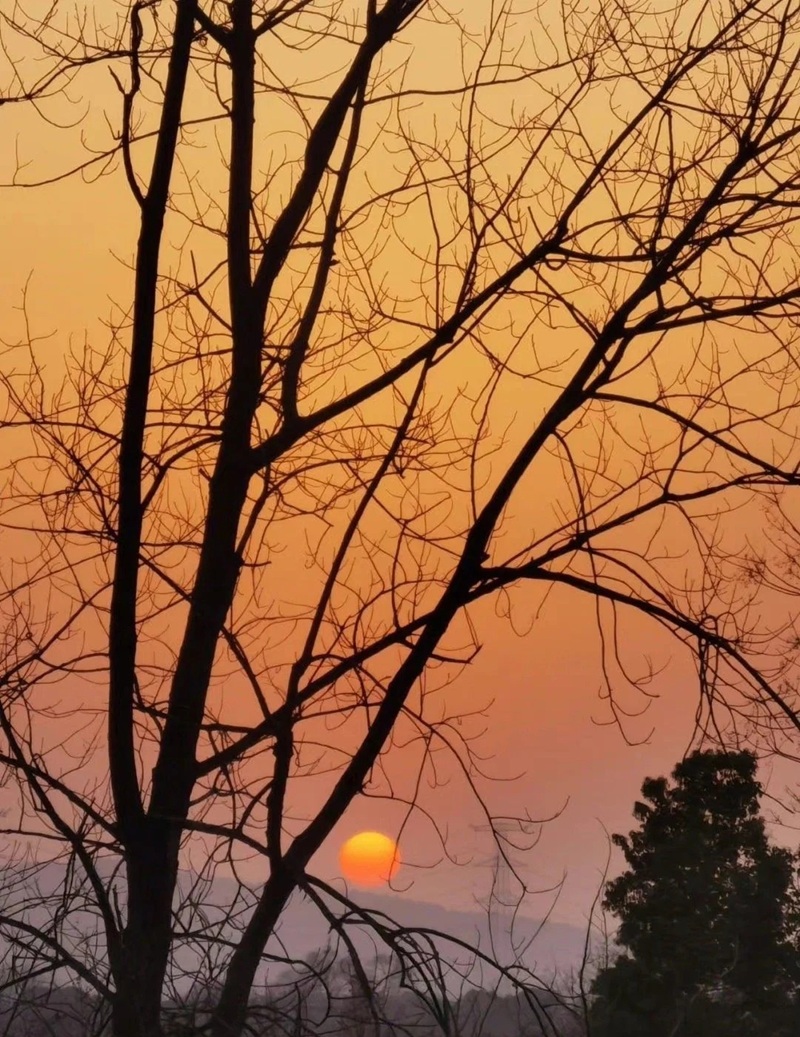 ảnh bầu trời hoàng hôn buồn 41