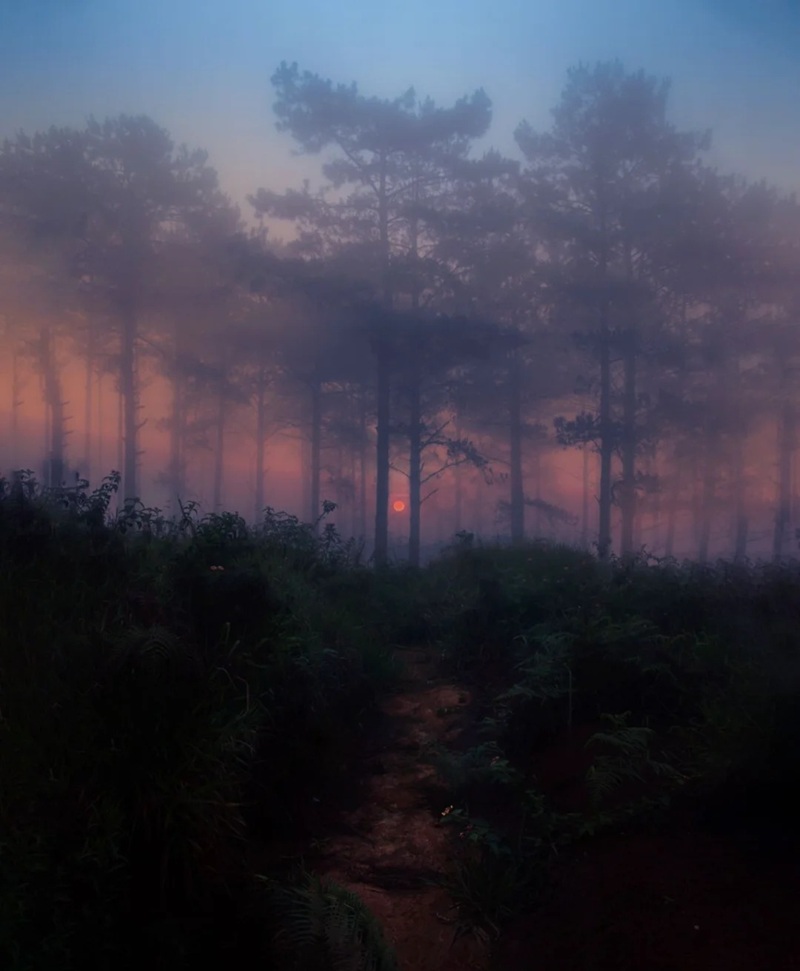 ảnh bầu trời hoàng hôn buồn 8