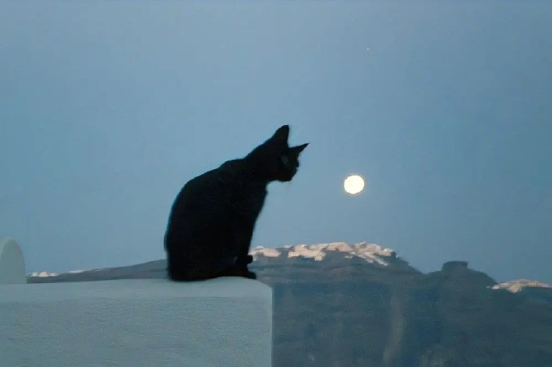 ảnh bìa facebook buồn 11