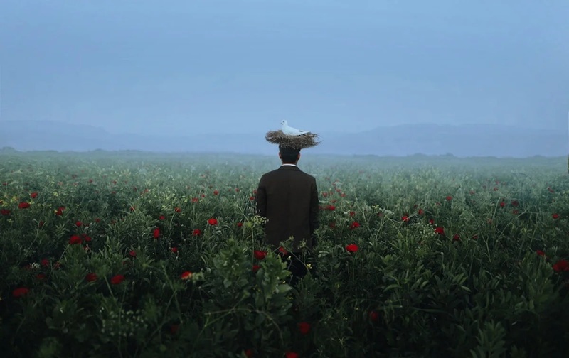 ảnh bìa facebook buồn 37