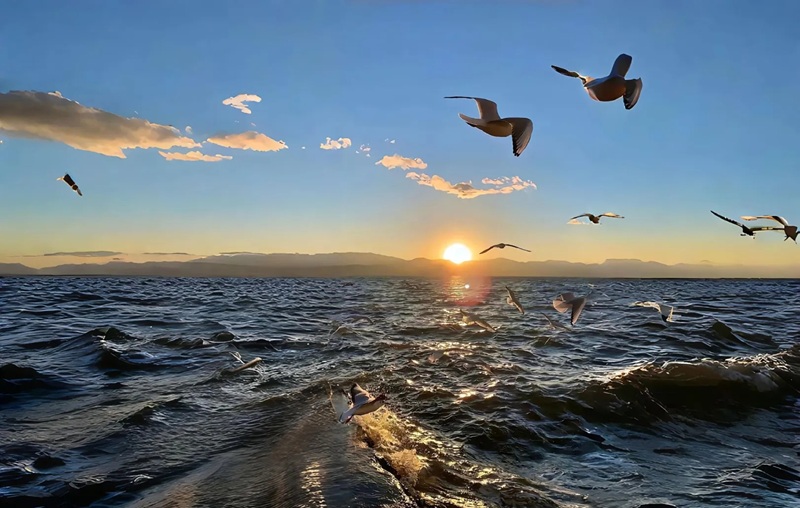 ảnh bìa facebook buồn 5