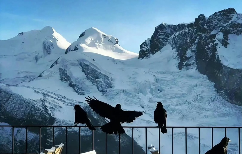 ảnh bìa zalo buồn 21