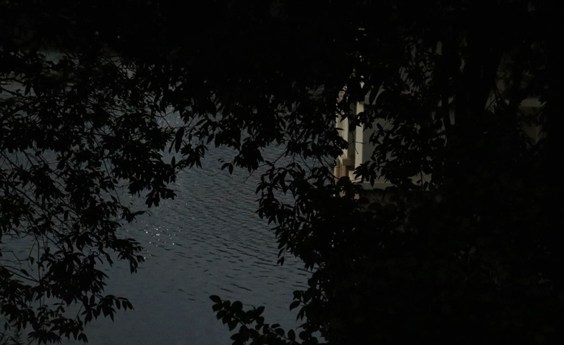 ảnh bìa zalo buồn 23