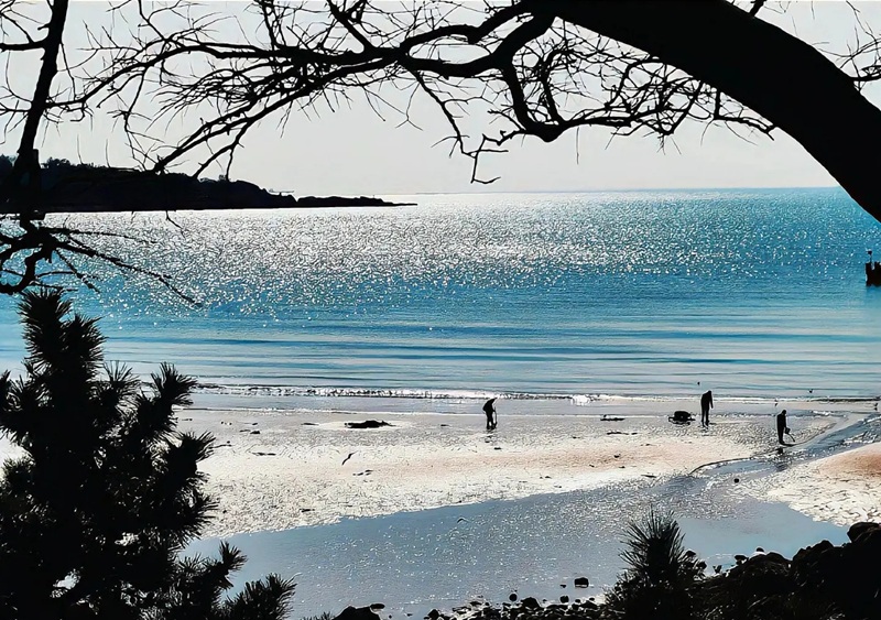 ảnh bìa zalo buồn 27