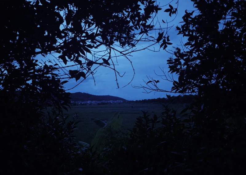 ảnh bìa zalo buồn 37