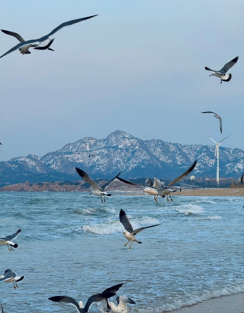 ảnh biển buồn 27