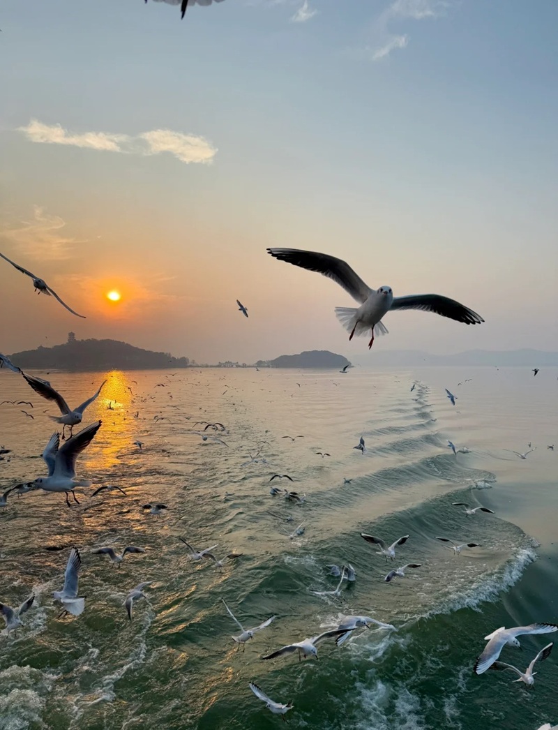 ảnh biển buồn 38