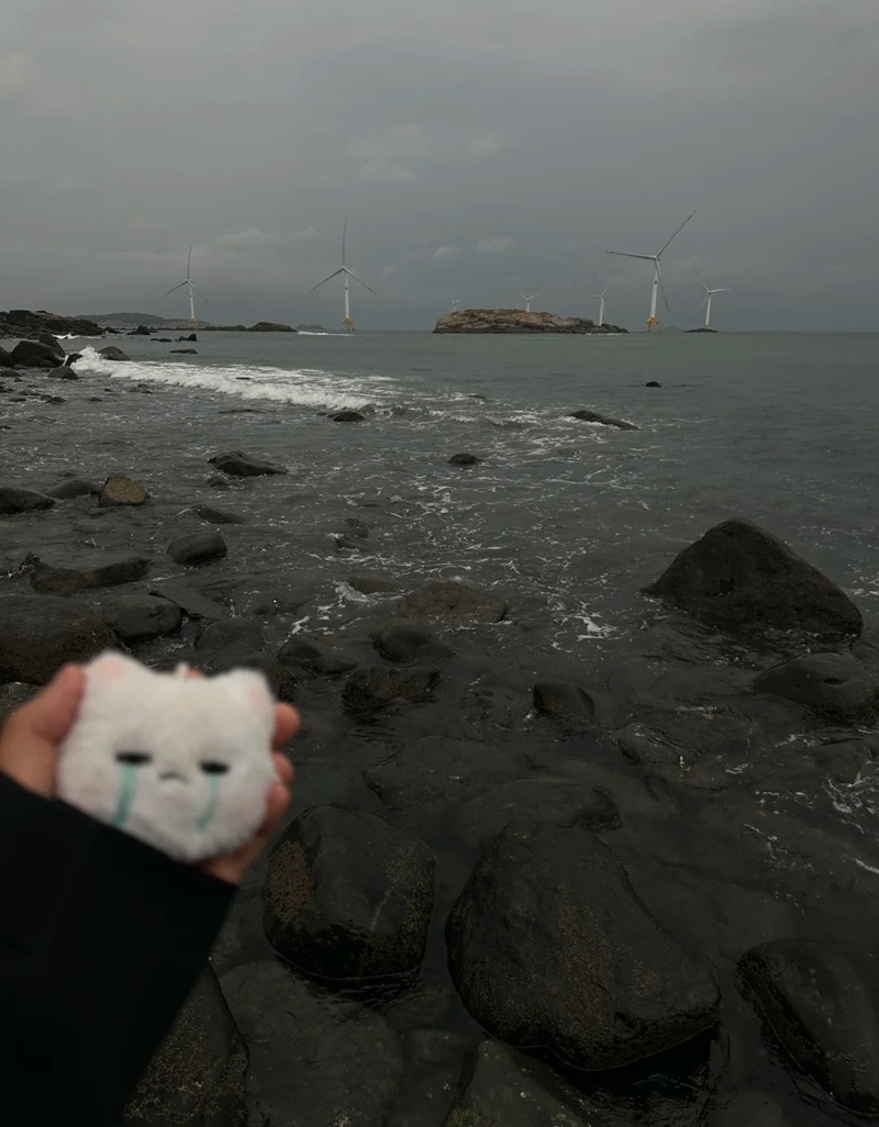 ảnh biển buồn 5