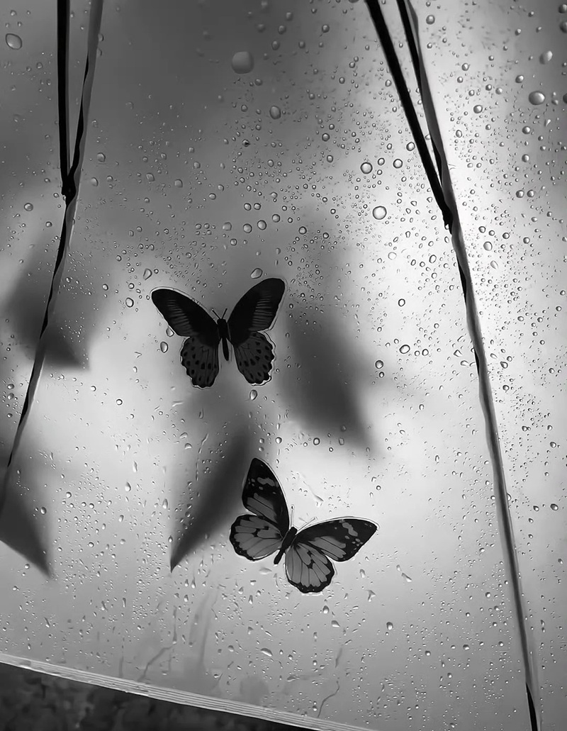 ảnh buồn đen trắng