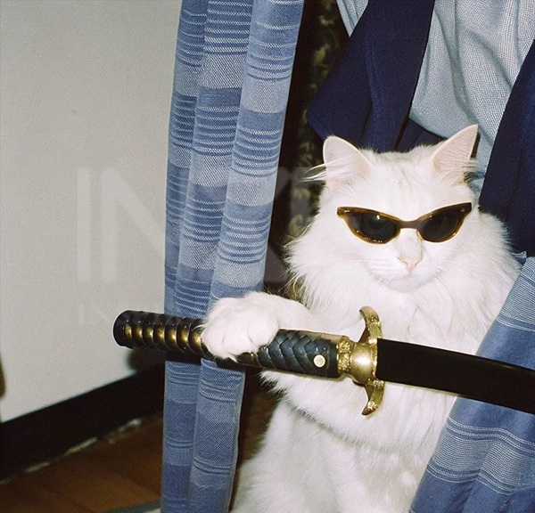 ảnh cầm dao ngầu 19