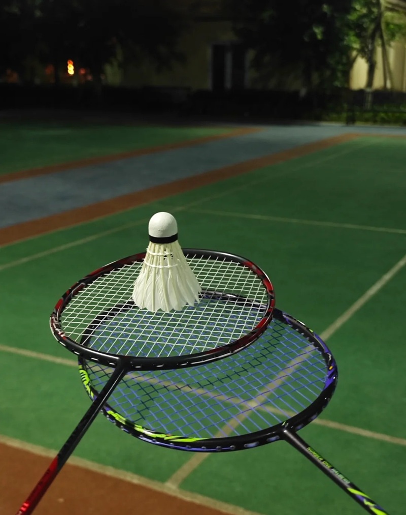 ảnh cầu lông ngầu 11