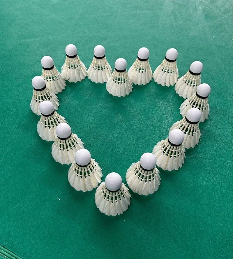 ảnh cầu lông ngầu 17